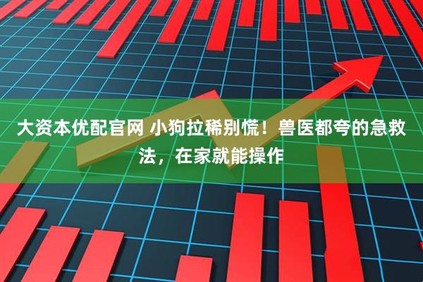 大资本优配官网 小狗拉稀别慌！兽医都夸的急救法，在家就能操作
