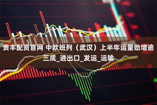 责丰配资官网 中欧班列（武汉）上半年运量劲增逾三成_进出口_发运_运输